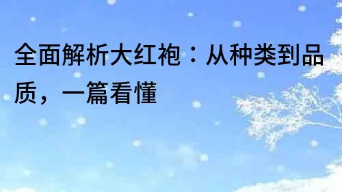 全面解析大紅袍：從種類到品質(zhì)，一篇看懂