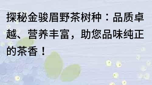 探秘金駿眉野茶樹種：品質卓越、營養豐富，助您品味純正的茶香！