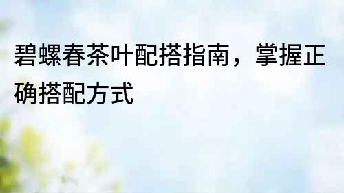 碧螺春茶葉配搭指南，掌握正確搭配方式