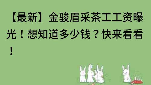 【最新】金駿眉采茶工工資曝光！想知道多少錢？快來看看！