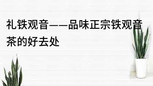 禮鐵觀音——品味正宗鐵觀音茶的好去處