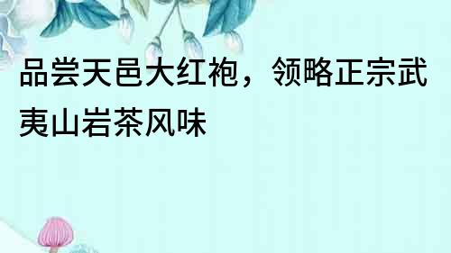 品嘗天邑大紅袍，領(lǐng)略正宗武夷山巖茶風(fēng)味