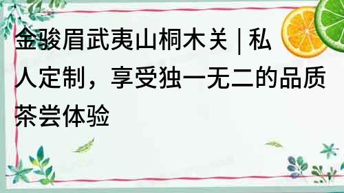 金駿眉武夷山桐木關 | 私人定制，享受獨一無二的品質茶嘗體驗