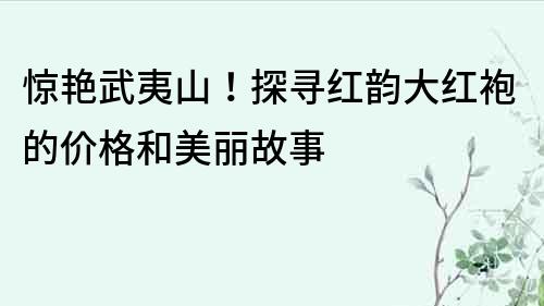 驚艷武夷山！探尋紅韻大紅袍的價格和美麗故事
