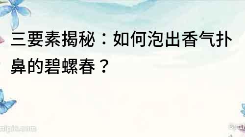 三要素揭秘：如何泡出香氣撲鼻的碧螺春？