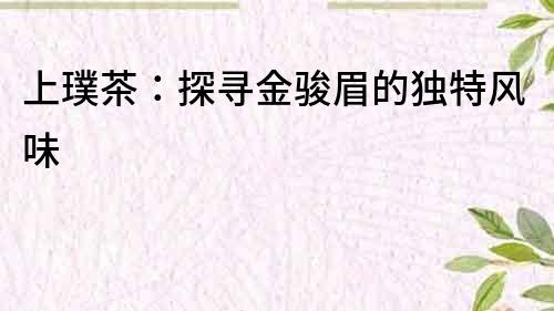 上璞茶：探尋金駿眉的獨特風味