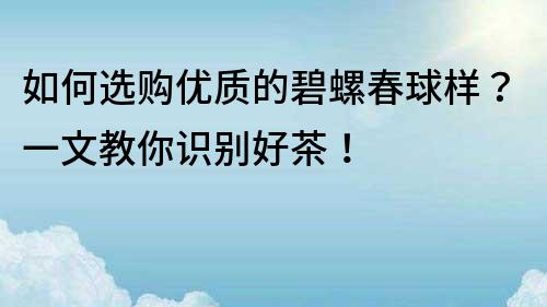 如何選購優質的碧螺春球樣？一文教你識別好茶！