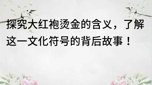 探究大紅袍燙金的含義，了解這一文化符號的背后故事！