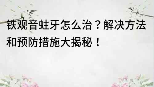 鐵觀音蛀牙怎么治？解決方法和預防措施大揭秘！