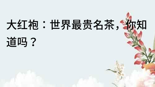 大紅袍：世界最貴名茶，你知道嗎？