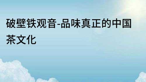 破壁鐵觀音-品味真正的中國茶文化