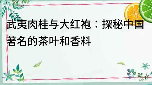 武夷肉桂與大紅袍：探秘中國著名的茶葉和香料