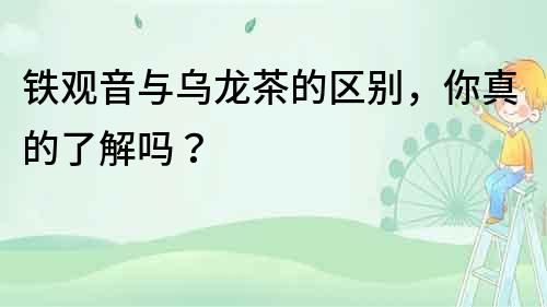 鐵觀音與烏龍茶的區(qū)別，你真的了解嗎？