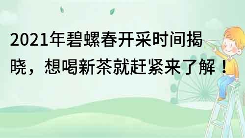 2021年碧螺春開采時間揭曉，想喝新茶就趕緊來了解！