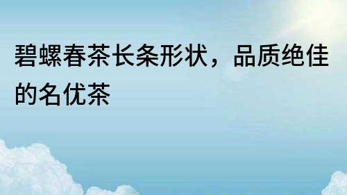 碧螺春茶長條形狀，品質絕佳的名優茶