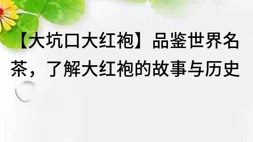 【大坑口大紅袍】品鑒世界名茶，了解大紅袍的故事與歷史