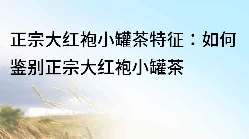 正宗大紅袍小罐茶特征：如何鑒別正宗大紅袍小罐茶