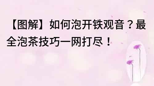 【圖解】如何泡開鐵觀音？最全泡茶技巧一網(wǎng)打盡！